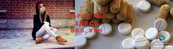 индика Армянск