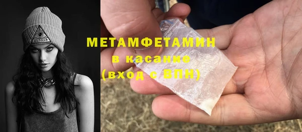 мяу мяу мука Аркадак