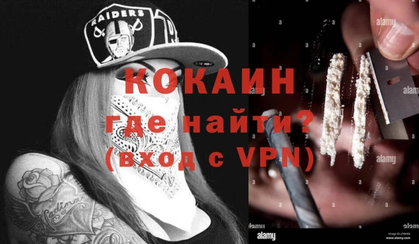 индика Армянск