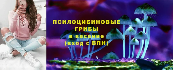 мяу мяу мука Аркадак