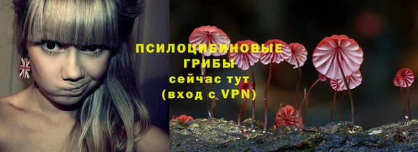 мяу мяу мука Аркадак